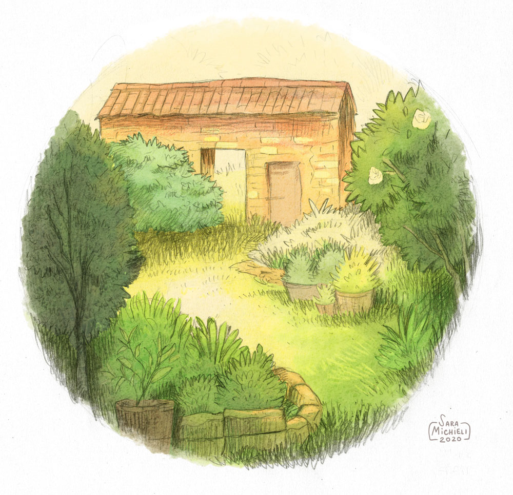 Illustrazione a matita - giardino